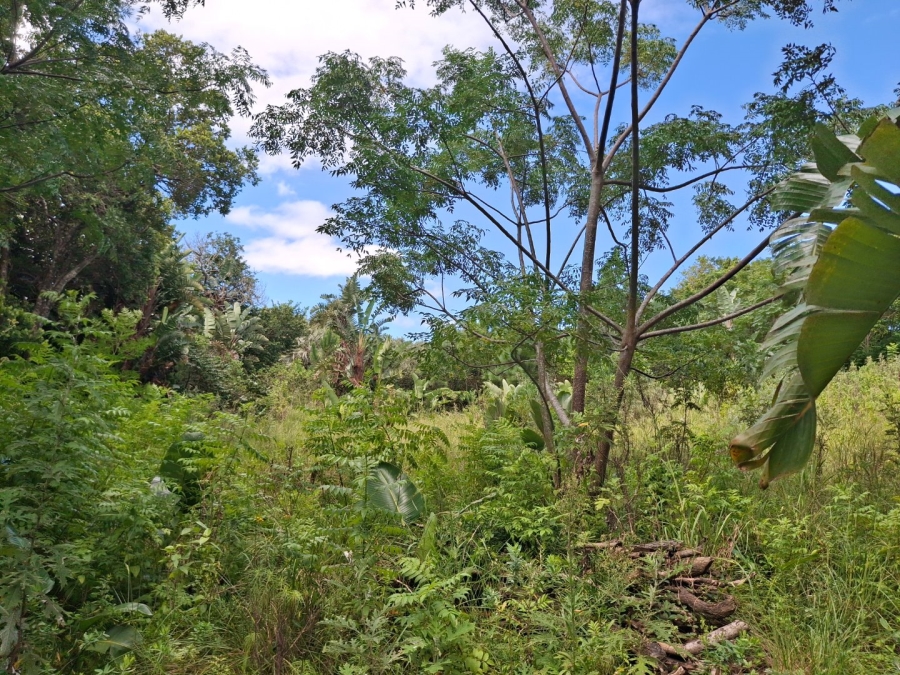 Commercial Property for Sale in Glenmore KwaZulu-Natal