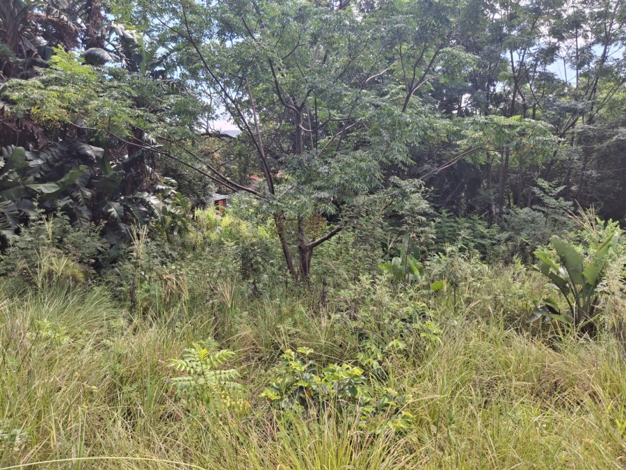 Commercial Property for Sale in Glenmore KwaZulu-Natal