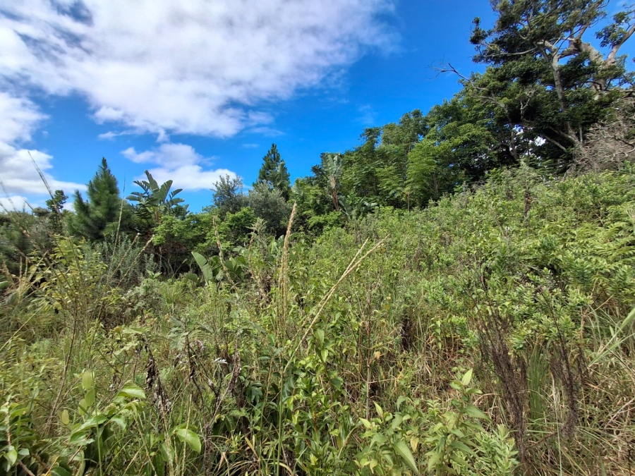 Commercial Property for Sale in Glenmore KwaZulu-Natal