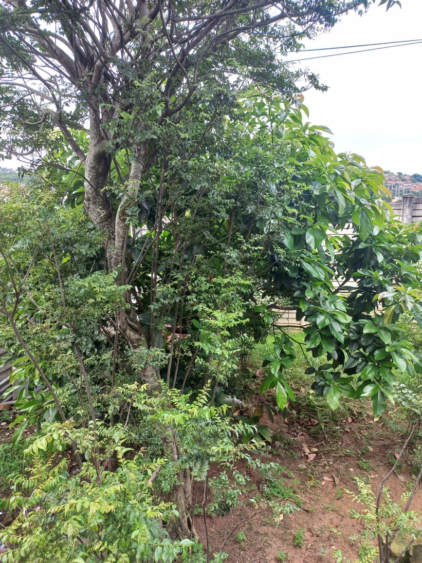 4 Bedroom Property for Sale in Havenside KwaZulu-Natal