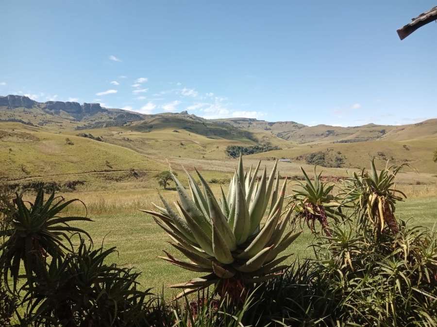 3 Bedroom Property for Sale in Bergville KwaZulu-Natal