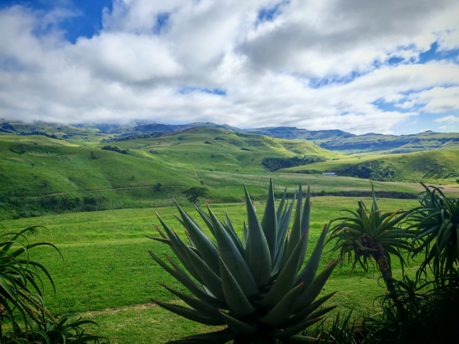 3 Bedroom Property for Sale in Bergville KwaZulu-Natal