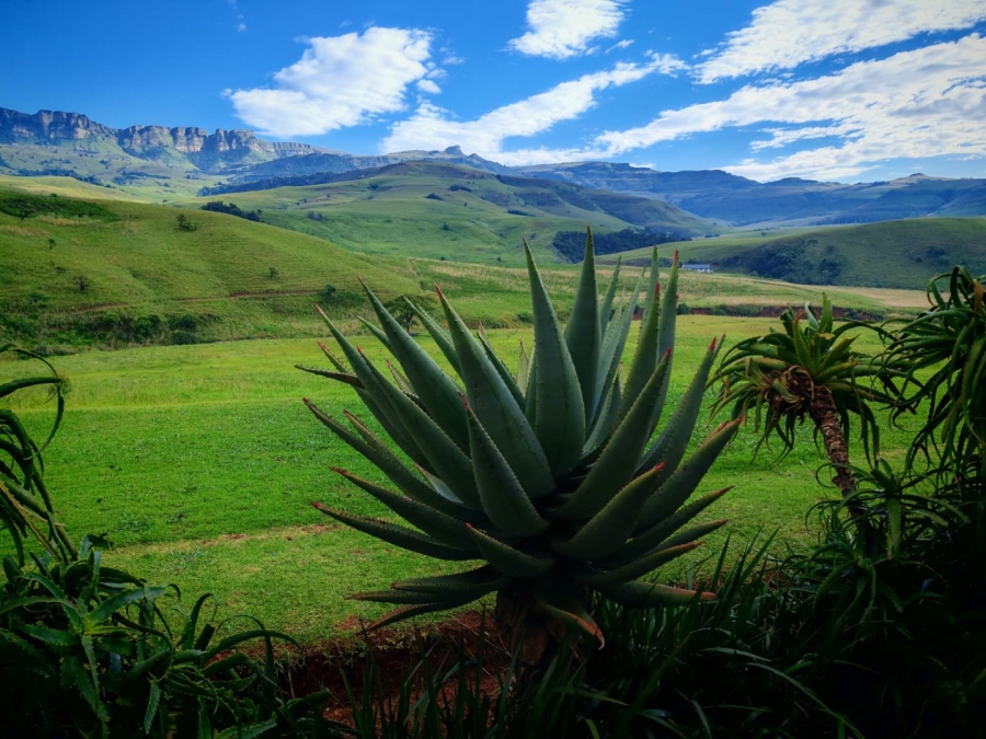 3 Bedroom Property for Sale in Bergville KwaZulu-Natal