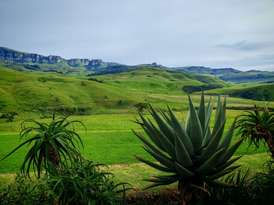 3 Bedroom Property for Sale in Bergville KwaZulu-Natal