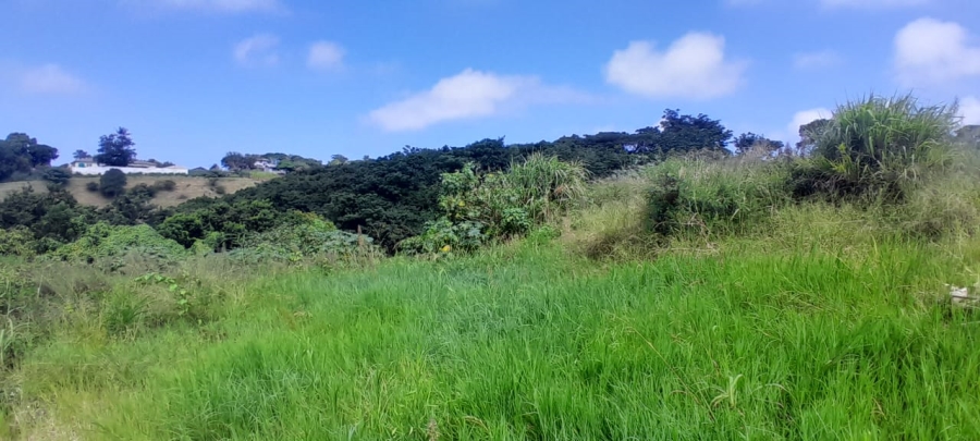 Commercial Property for Sale in Albersville KwaZulu-Natal