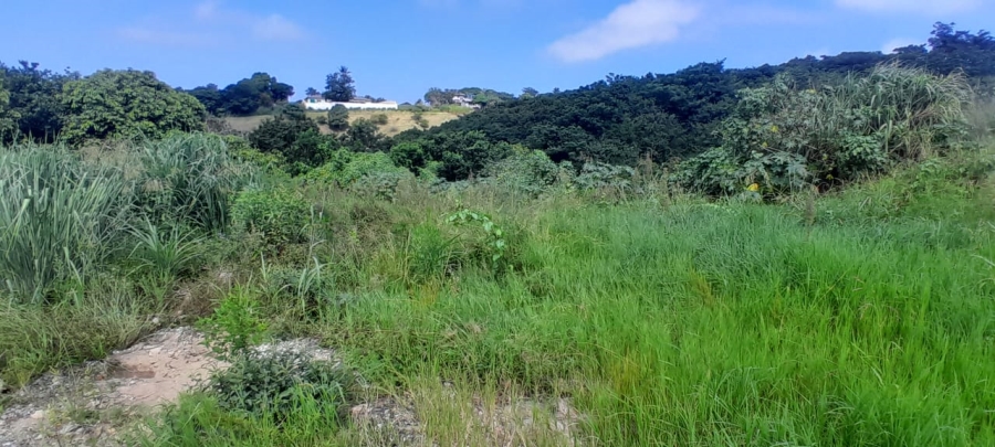 Commercial Property for Sale in Albersville KwaZulu-Natal