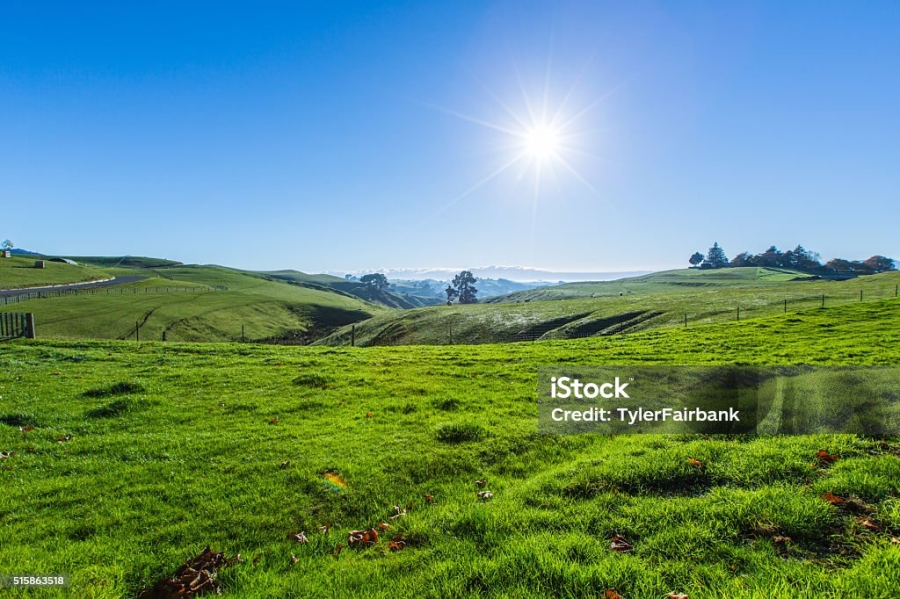 Commercial Property for Sale in Verulam KwaZulu-Natal