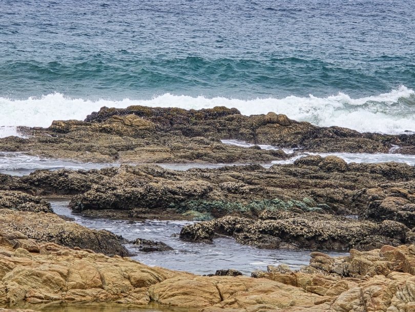 4 Bedroom Property for Sale in Pumula KwaZulu-Natal