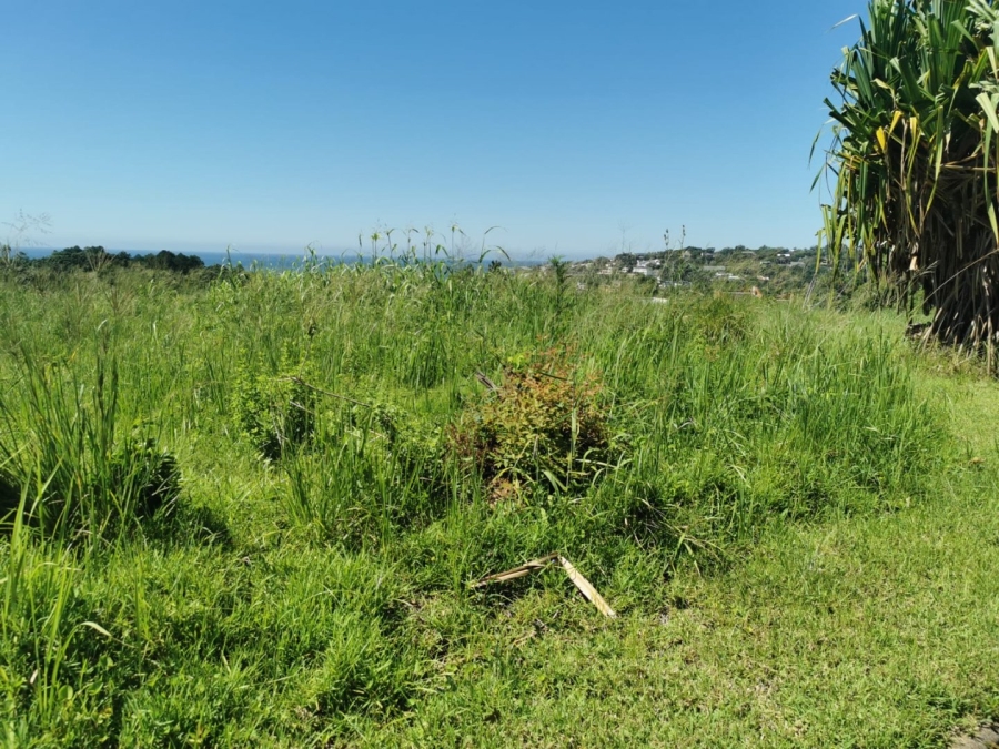 Commercial Property for Sale in Ramsgate KwaZulu-Natal