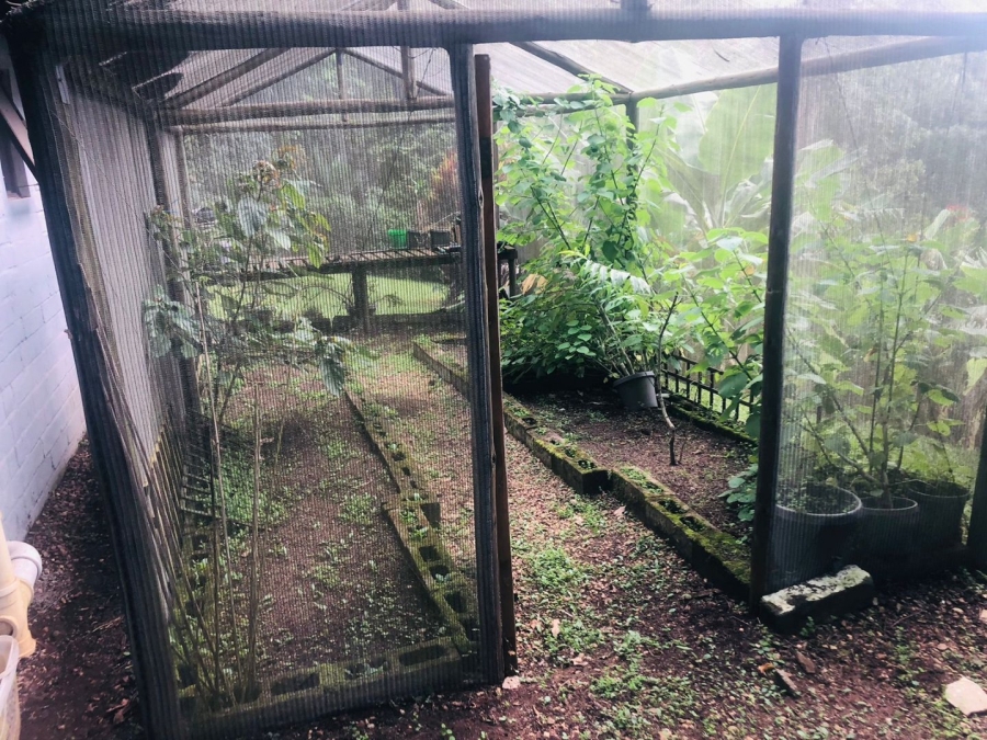 To Let 1 Bedroom Property for Rent in Kloof KwaZulu-Natal