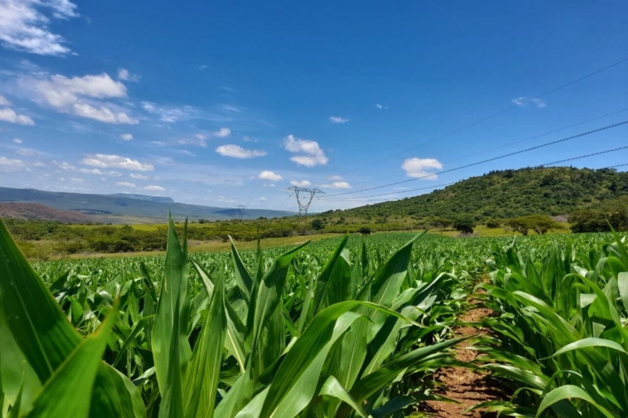 Commercial Property for Sale in Vryheid Rural KwaZulu-Natal