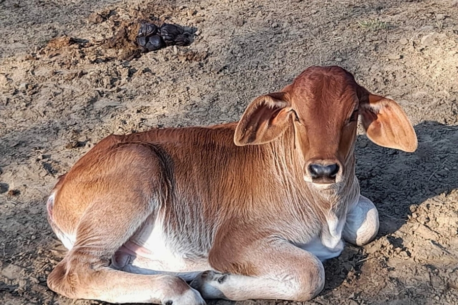 Commercial Property for Sale in Vryheid Rural KwaZulu-Natal