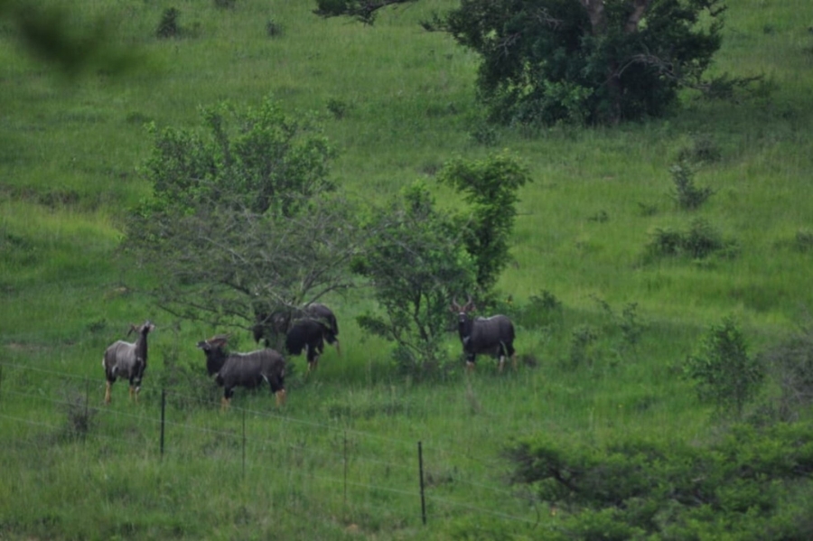 Commercial Property for Sale in Vryheid Rural KwaZulu-Natal