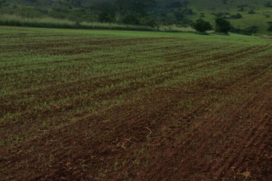 Commercial Property for Sale in Vryheid Rural KwaZulu-Natal