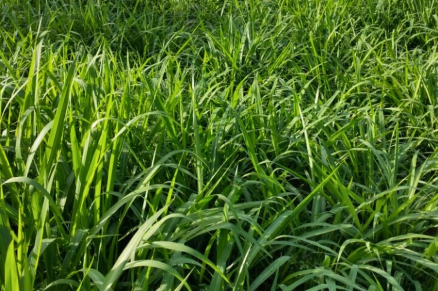 Commercial Property for Sale in Vryheid Rural KwaZulu-Natal