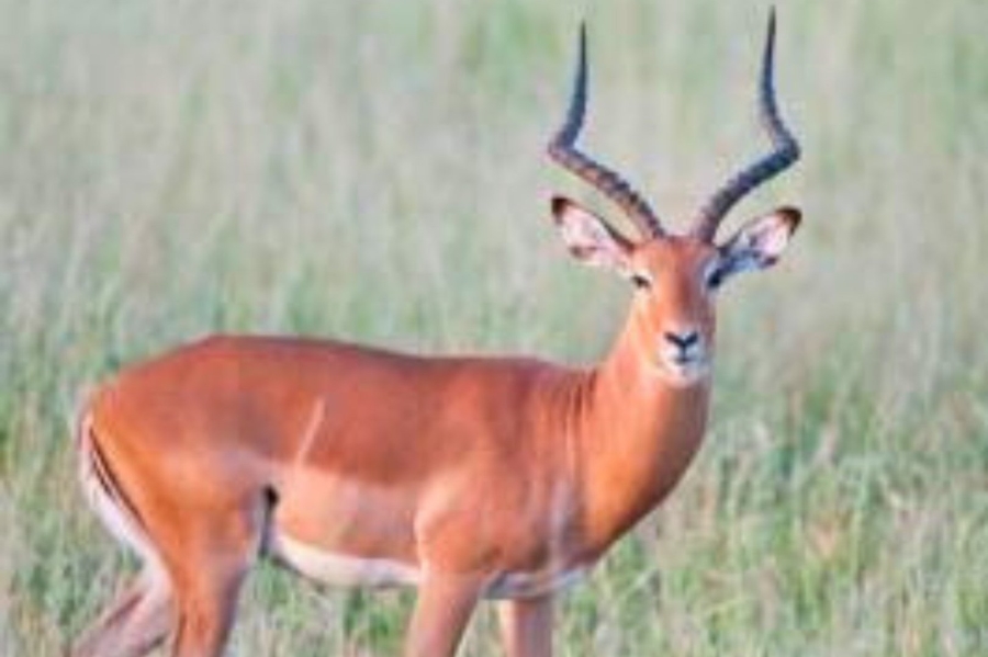 Commercial Property for Sale in Newcastle Rural KwaZulu-Natal