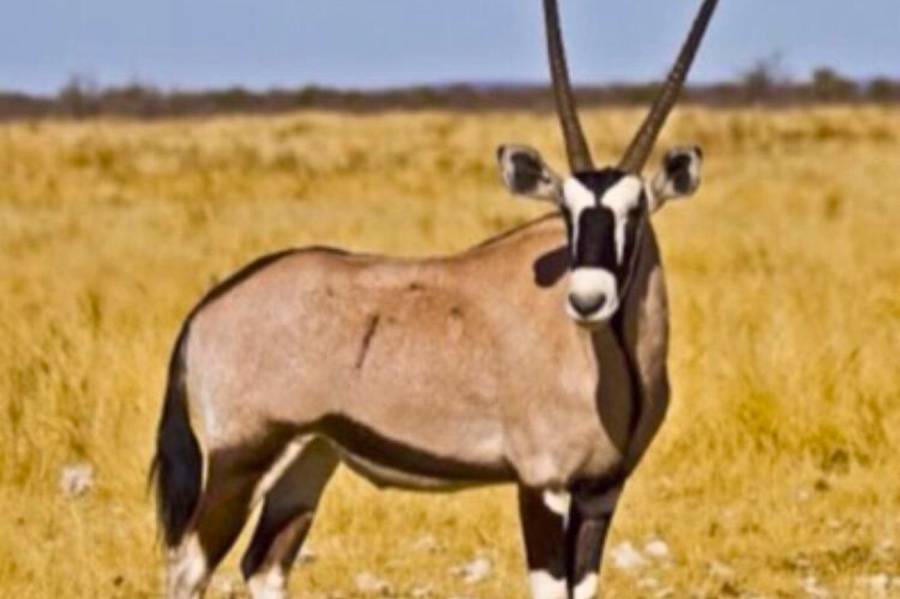 Commercial Property for Sale in Newcastle Rural KwaZulu-Natal