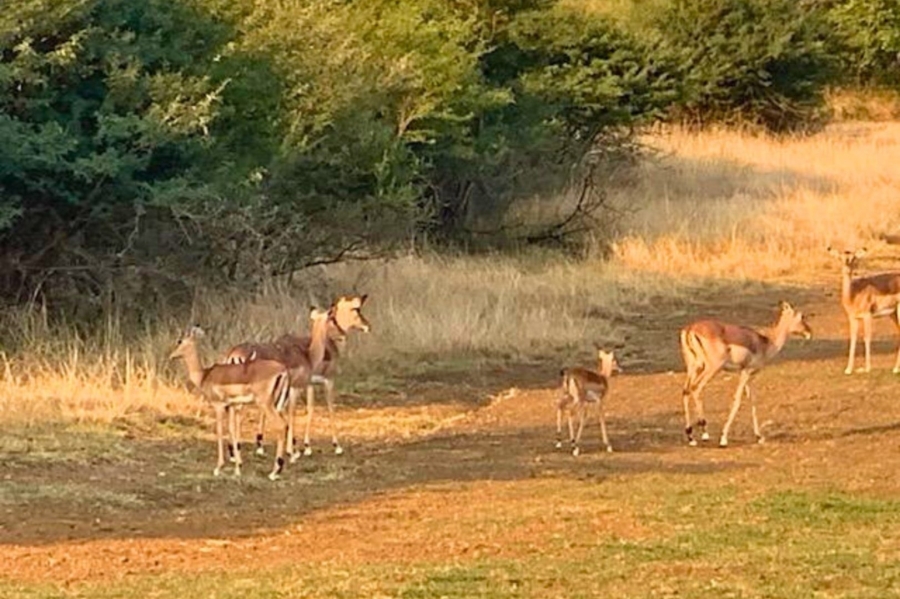 Commercial Property for Sale in Newcastle Rural KwaZulu-Natal