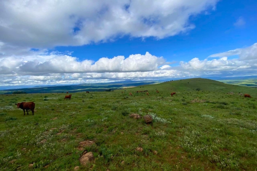 Commercial Property for Sale in Vryheid Rural KwaZulu-Natal