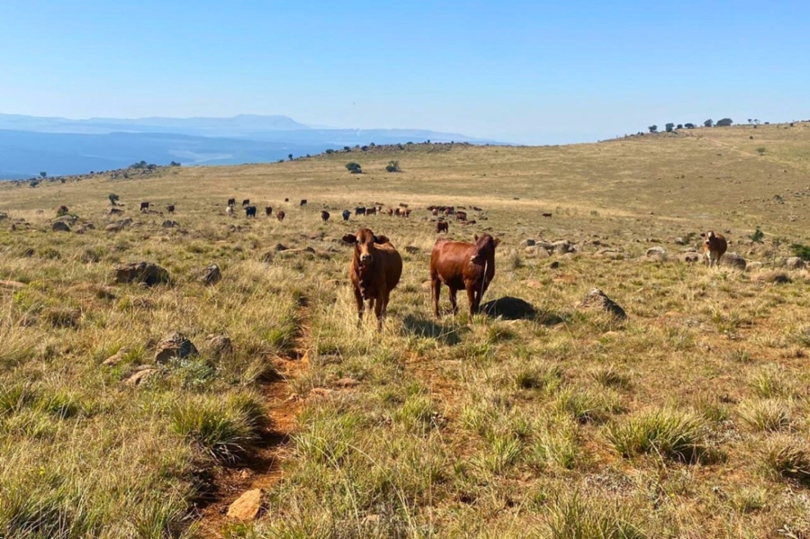 Commercial Property for Sale in Vryheid Rural KwaZulu-Natal