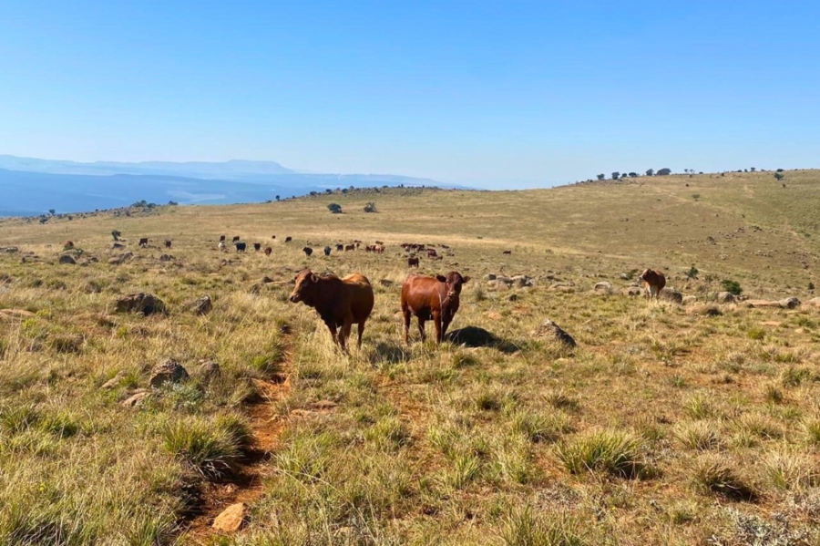 Commercial Property for Sale in Vryheid Rural KwaZulu-Natal