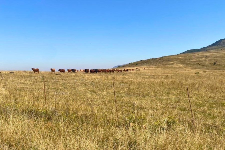 Commercial Property for Sale in Vryheid Rural KwaZulu-Natal
