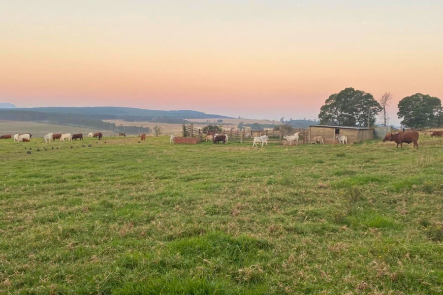 Commercial Property for Sale in Vryheid Rural KwaZulu-Natal