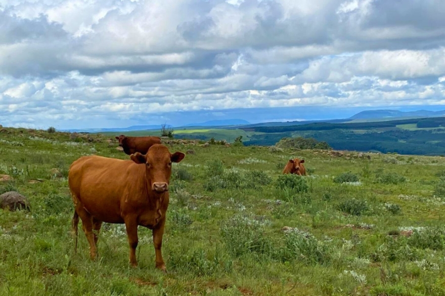 Commercial Property for Sale in Vryheid Rural KwaZulu-Natal