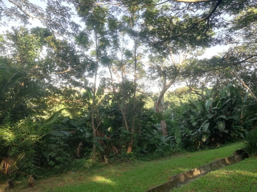 Commercial Property for Sale in Umzumbe KwaZulu-Natal