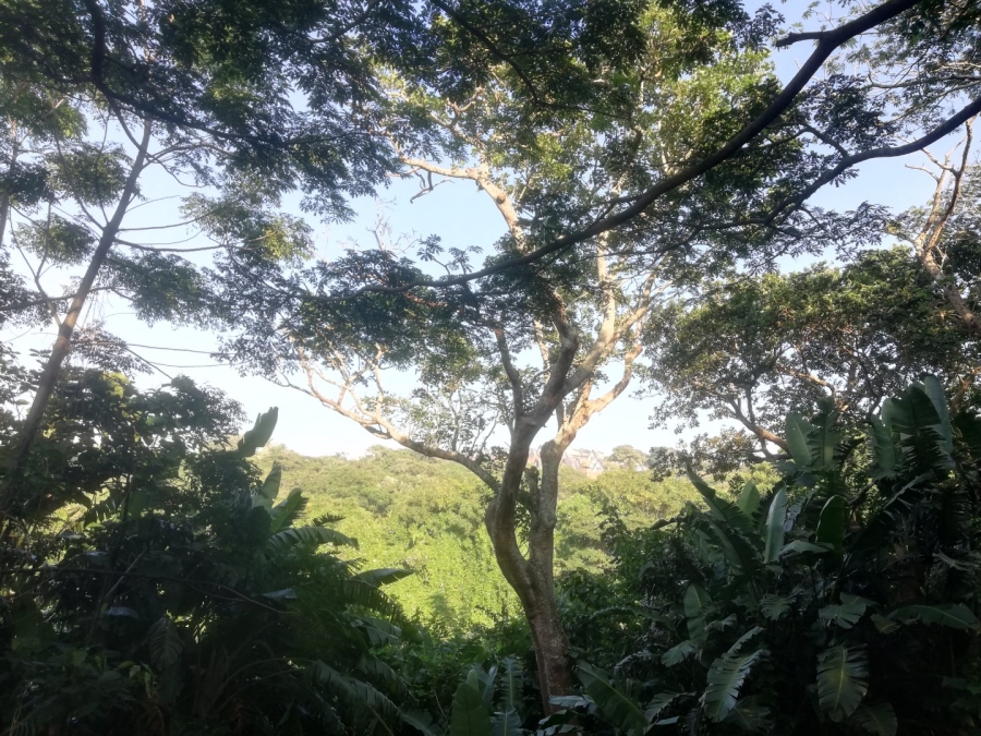 Commercial Property for Sale in Umzumbe KwaZulu-Natal