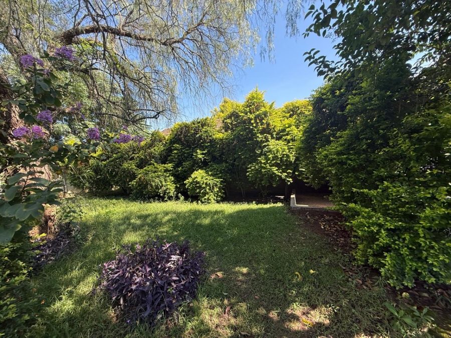 4 Bedroom Property for Sale in Scottsville KwaZulu-Natal