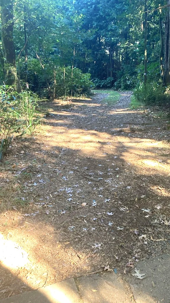 To Let 1 Bedroom Property for Rent in Winterskloof KwaZulu-Natal