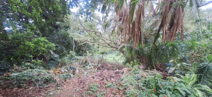 3 Bedroom Property for Sale in Southport KwaZulu-Natal