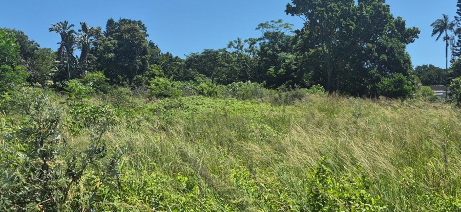 Commercial Property for Sale in Woodgrange KwaZulu-Natal