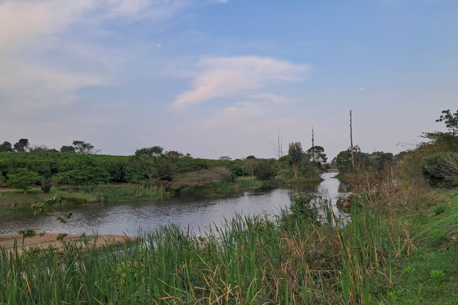 Commercial Property for Sale in Paddock KwaZulu-Natal