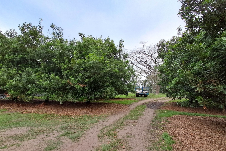 Commercial Property for Sale in Paddock KwaZulu-Natal