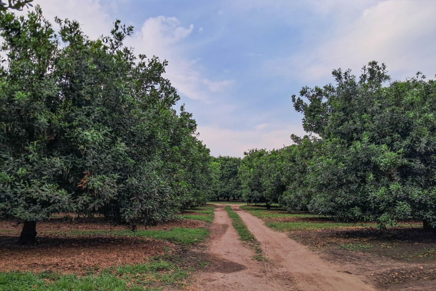 Commercial Property for Sale in Paddock KwaZulu-Natal