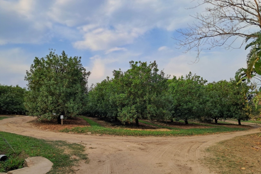 Commercial Property for Sale in Paddock KwaZulu-Natal