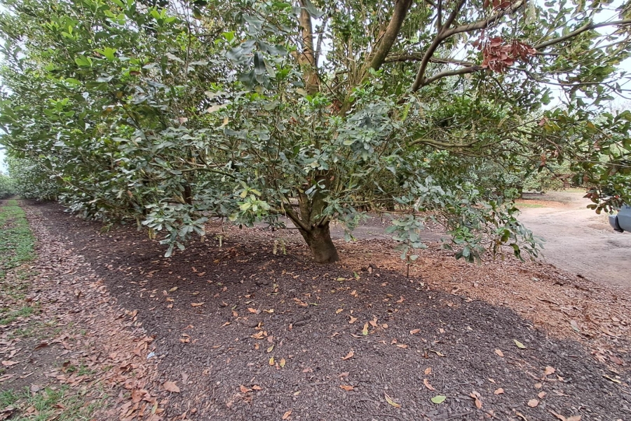 Commercial Property for Sale in Paddock KwaZulu-Natal