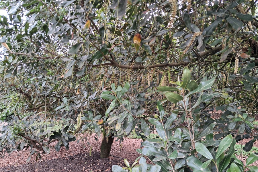 Commercial Property for Sale in Paddock KwaZulu-Natal