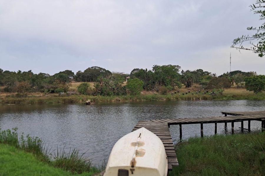 Commercial Property for Sale in Paddock KwaZulu-Natal