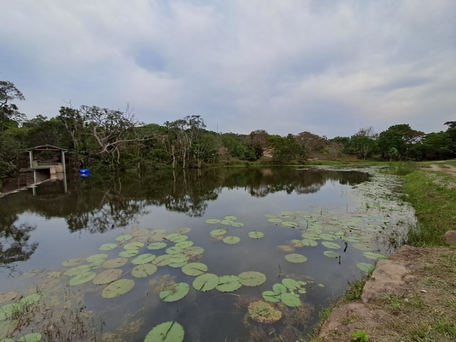 Commercial Property for Sale in Paddock KwaZulu-Natal