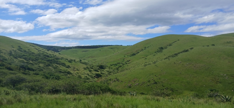 Commercial Property for Sale in Ixopo KwaZulu-Natal