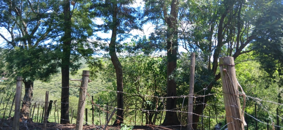 Commercial Property for Sale in Ixopo KwaZulu-Natal