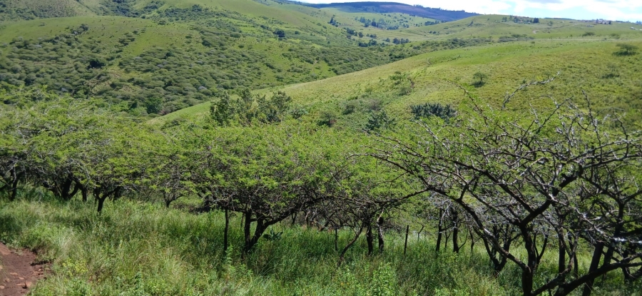 Commercial Property for Sale in Ixopo KwaZulu-Natal