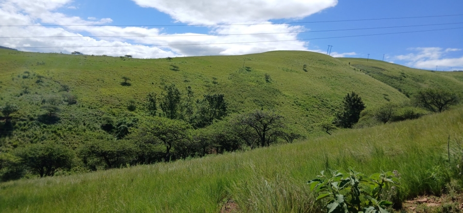 Commercial Property for Sale in Ixopo KwaZulu-Natal