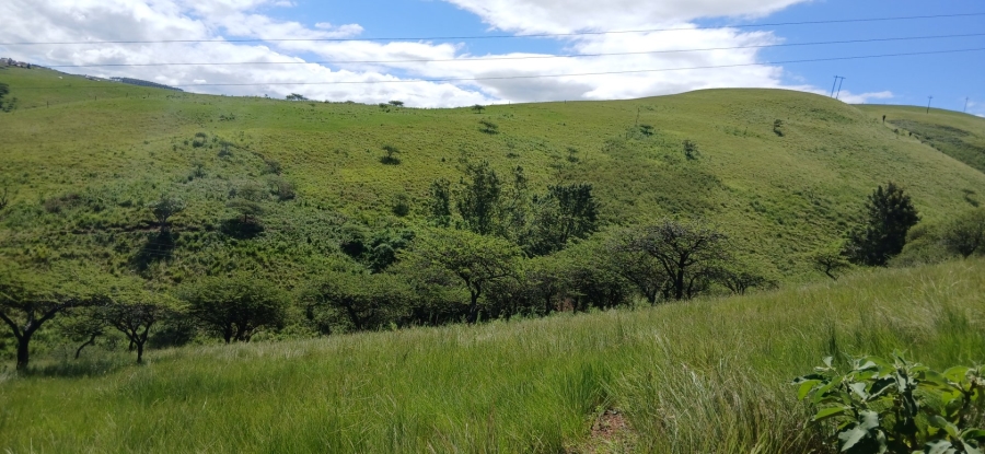 Commercial Property for Sale in Ixopo KwaZulu-Natal