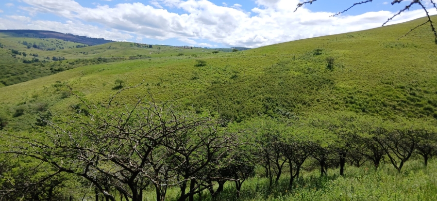 Commercial Property for Sale in Ixopo KwaZulu-Natal