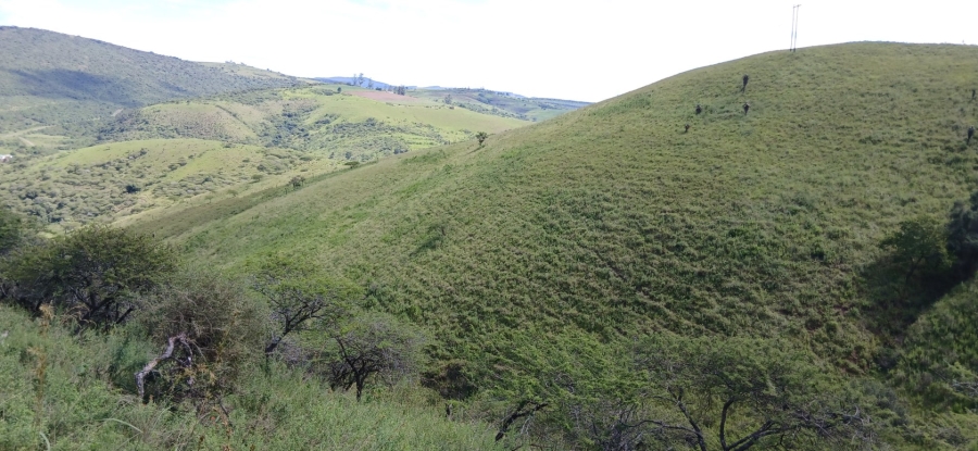 Commercial Property for Sale in Ixopo KwaZulu-Natal