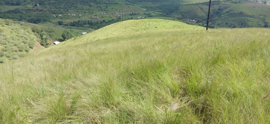 Commercial Property for Sale in Ixopo KwaZulu-Natal